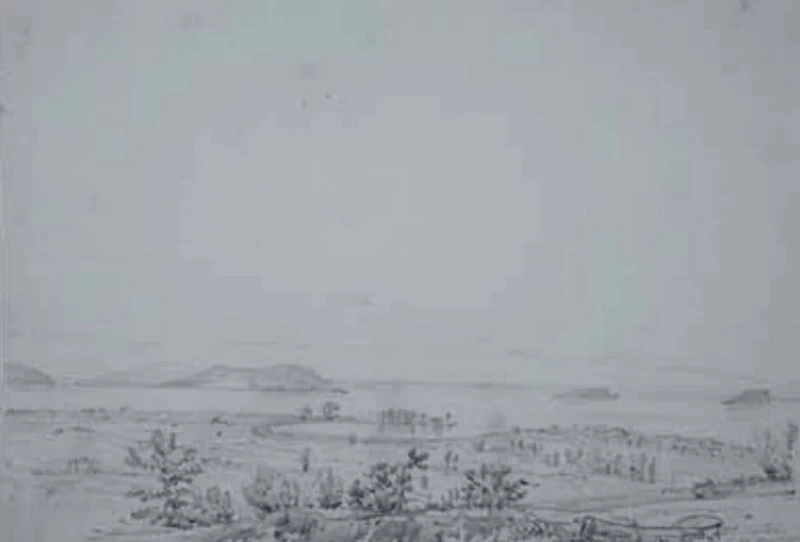 81-Alberi e rocce  
